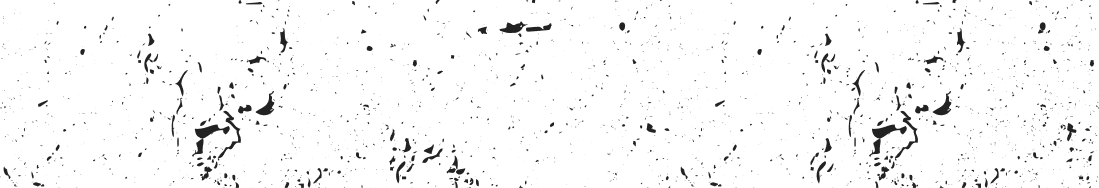 商品ラインナップ